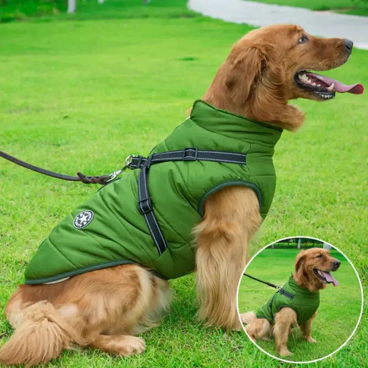 Milo | Praktisches Hundeweste – Bequem und Funktional für Jeden Spaziergang